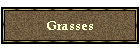 Grasses